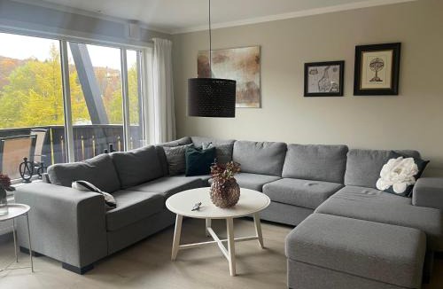 Beitostolen Apartment | Hjemmekoselig Toppleilighet I Sentrum