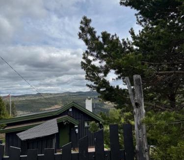 Nes House | Høgbu - Historical Cabin with spectacular view - beautiful nature - 15 minutes from skiing resort