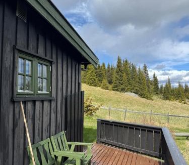 Nes House | Høgbu - Historical Cabin with spectacular view - beautiful nature - 15 minutes from skiing resort