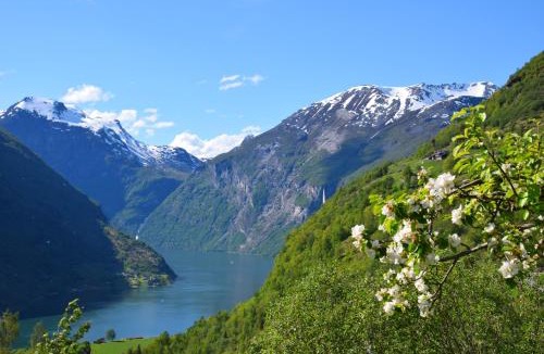Geiranger Cabin | Hole Hytter