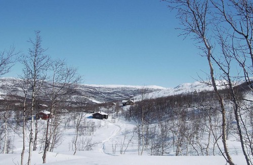 Hol House | Holiday home Hovet Gurostølen Nr.