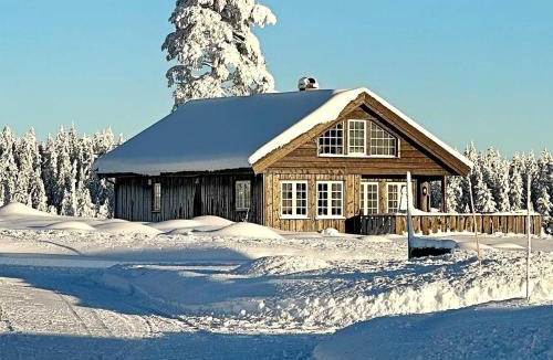 Amot House | Holiday home Osen II