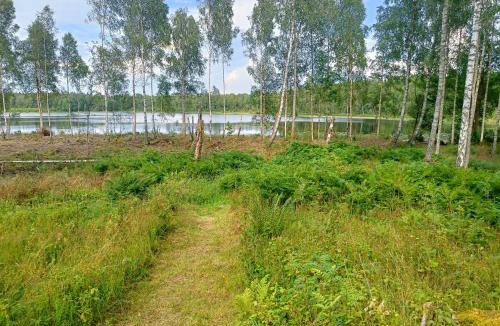 Ryd House | Holiday home Småland Siggamåla