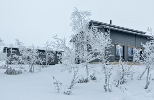 Saariselka House | Holiday Home Villa viima by Interhome