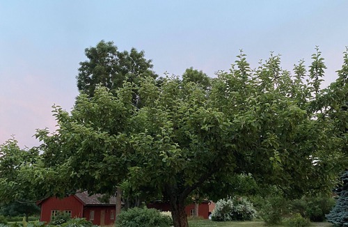 Tystberga House | Holiday on a manor property in Sörmland on the coast and the archipelago