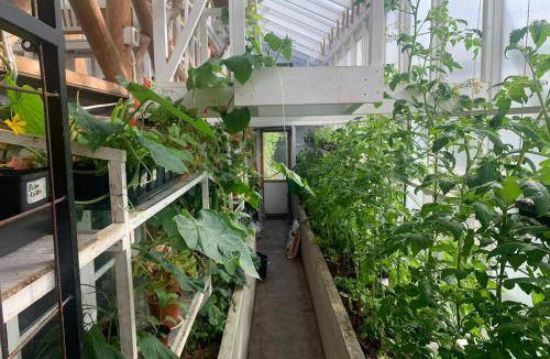 Bodarne Hostel | Hostel ∙ 5 guests