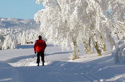 Stoten Hostel | Hostel ∙ 8 guests