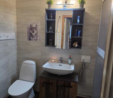 Blattnicksele House | House Arctic Wolf