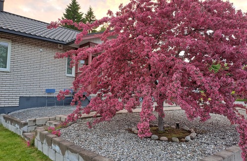 Innerstaden-Ostermalm House | House with large social areas, fantastic backyard and bathroom with sauna and bathtub
