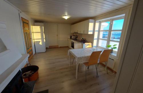 Gjovik Apartment | House with seaview to the lake Mjøsa, 8 min to town center Gjøvik