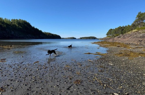Naeroy House | Hundevennlig feriehus "Elgstua" ved sjøen på Geisnes