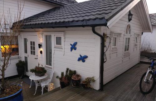 Volda House | Huset på hauen