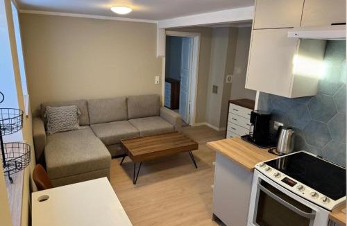 Porsgrunn Apartment | Hybel