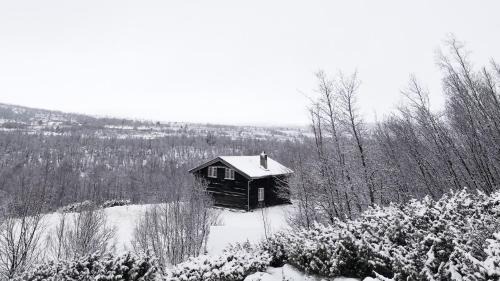 Uvdal Ski Chalet | Hytta Idyll
