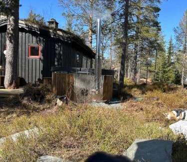 Vinje House | Hytta på Øyfjell med badestamp