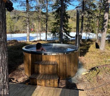 Vinje House | Hytta på Øyfjell med badestamp