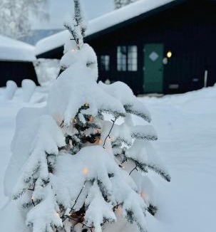 Al Apartment | Hytte nær Ål