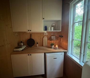 Skien House | hytte ved innsjø