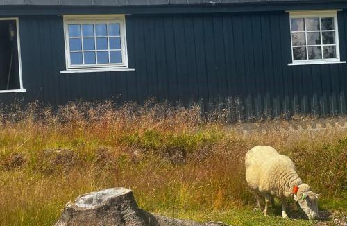 Loten Municipality House | Hyttekos og ro på Budor, 4 roms hytte med peis og wifi