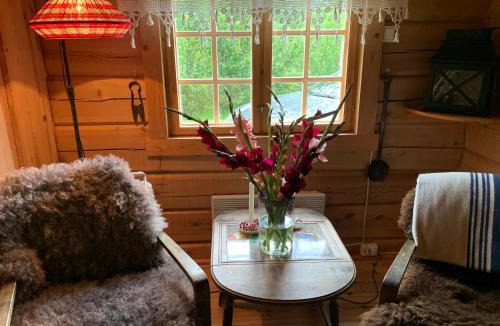 Nore og Uvdal House | Hyttetun på Hardangervidda