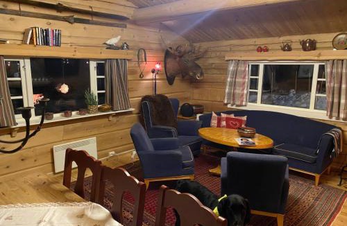 Nore og Uvdal House | Hyttetun på Hardangervidda