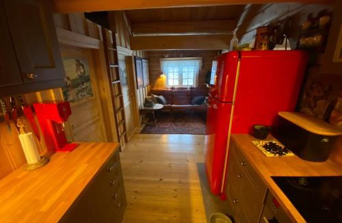 Nore og Uvdal House | Hyttetun på Hardangervidda
