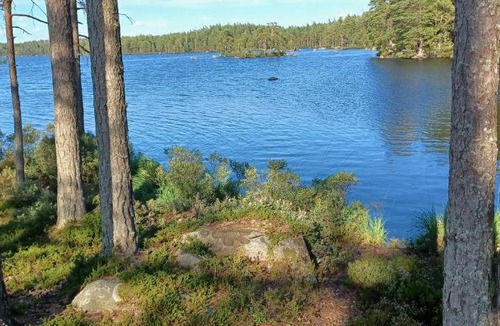 Gardsjo Apartment | Ideal for groups and families! Staying in a school next to the forest