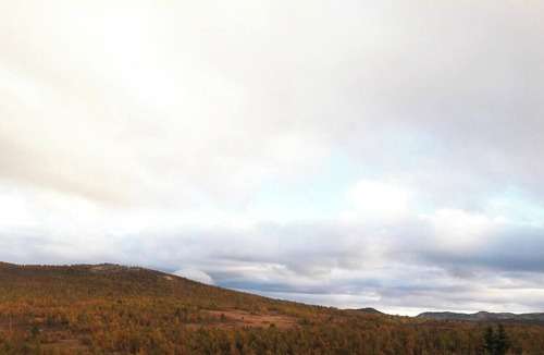 Al Municipality House | Idyllic log cabin with ski-in/out at Dagalifjell