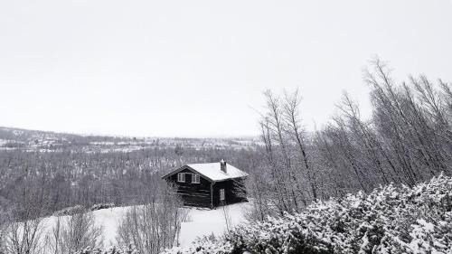 Uvdal House | Idyllic Log Cabin With Ski-Inout At Dagalifjell