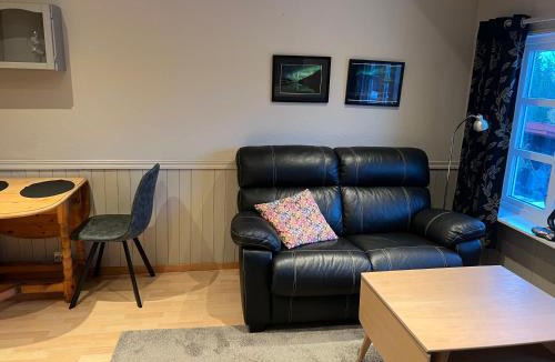 Tromso Apartment | In the heart of the Northern Lights