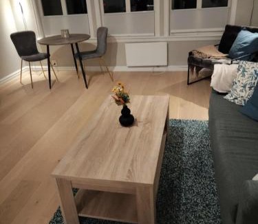 Tonsberg Apartment | In the middle of the city, with garden and parking!