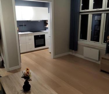 Tonsberg Apartment | In the middle of the city, with garden and parking!