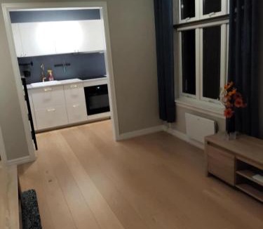 Tonsberg Apartment | In the middle of the city, with garden and parking!