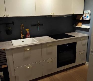 Tonsberg Apartment | In the middle of the city, with garden and parking!