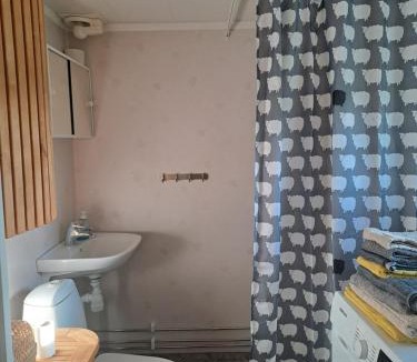 Viksjo House | Jakt- och fiskestugan i Nordanå Viksjö