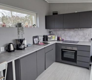Laholm Apartment | K39