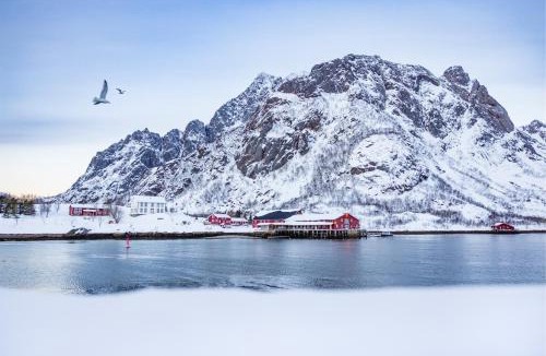 Vagan Resort | Kalle i Lofoten