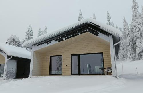 Syote Villa | Karhunpesä