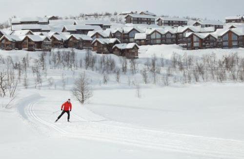 Hol Municipality Apartment | Kikut1010 Skurdalsvegen 107