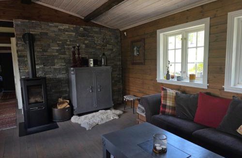 Hjartdal House | Kilodden, Lakeside Mountain Cabin with Stunning Views