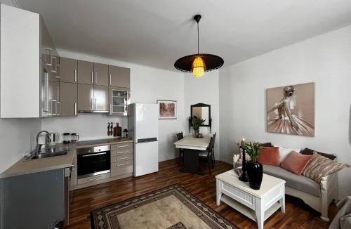 Alesund Apartment | Kirkegata 12