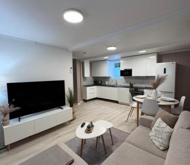 Brumunddal Apartment | Kirkevegen apartment