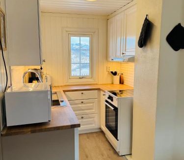 Hol Municipality House | Koselig hytte midt i fredelige omgivelser