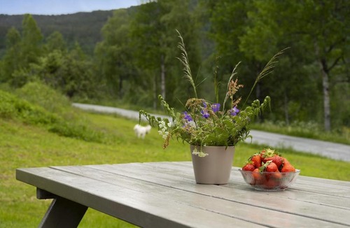 Surnadal Ski Chalet | Kvila