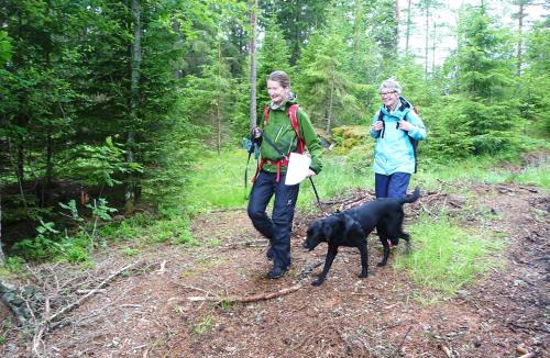 Munkedal Municipality Bed & Breakfast | KynnefjällsNatur