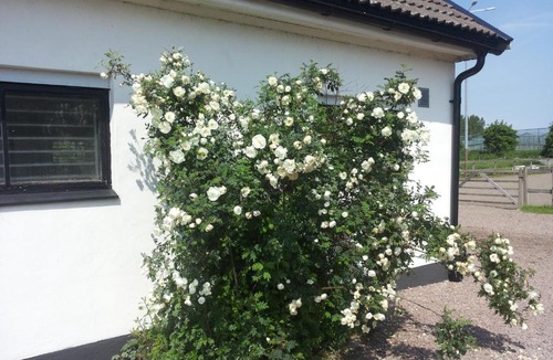 Vallakra House | Lägenhet Lillisgården