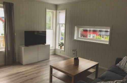 Lærdalsøyri Apartment | Lærdal Apartment