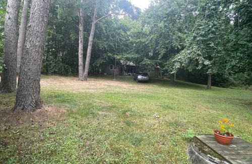 Listarum Apartment | Lönnekullen, enkel sommarstuga mitt i skogen på Österlen med dusch ute