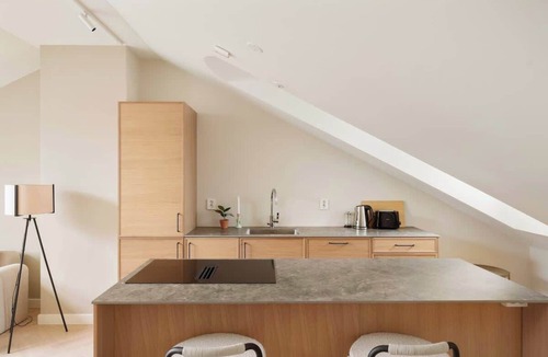 Grunerlokka Apartment | Løkka Suites l Penthouse Dream
