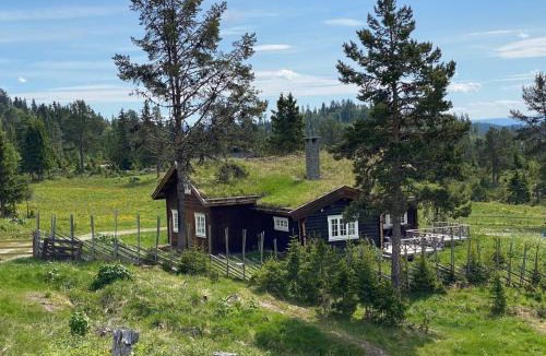 Gol Municipality House | Løstegård hytter at the top of Golsfjellet